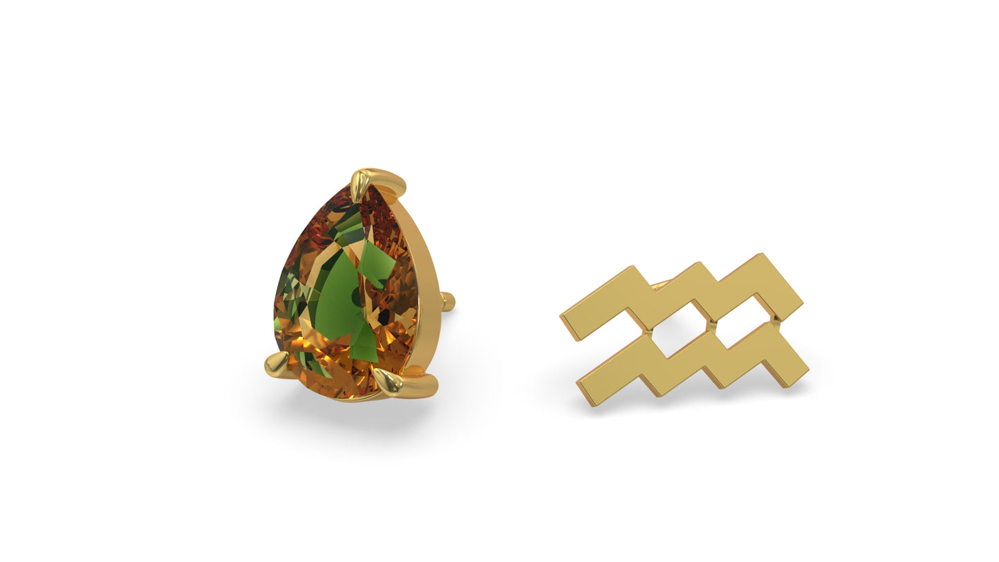 zodiac sign earrings- aquarius- gold