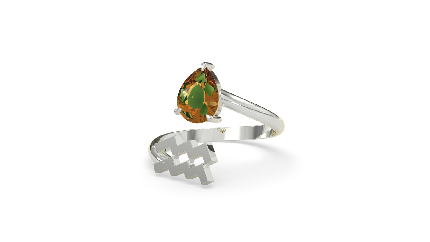 zodiac sign ring- aquarius- silver