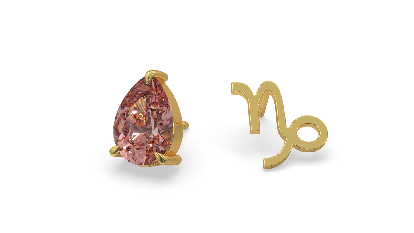 zodiac sign earrings- capricorn- gold