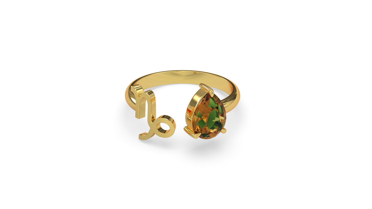 zodiac sign ring- capricorn- gold
