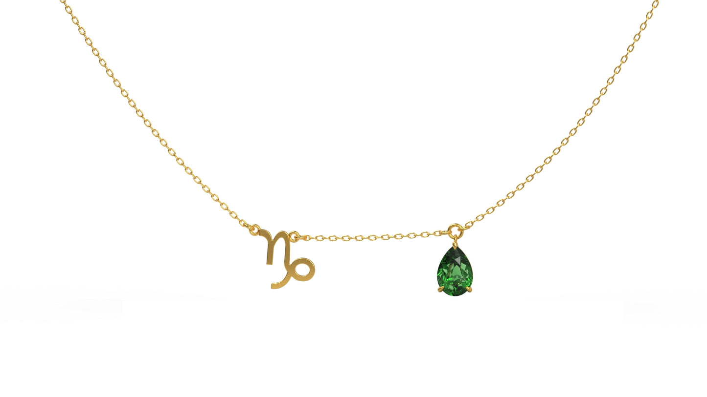 zodiac sign necklace- capricorn- gold