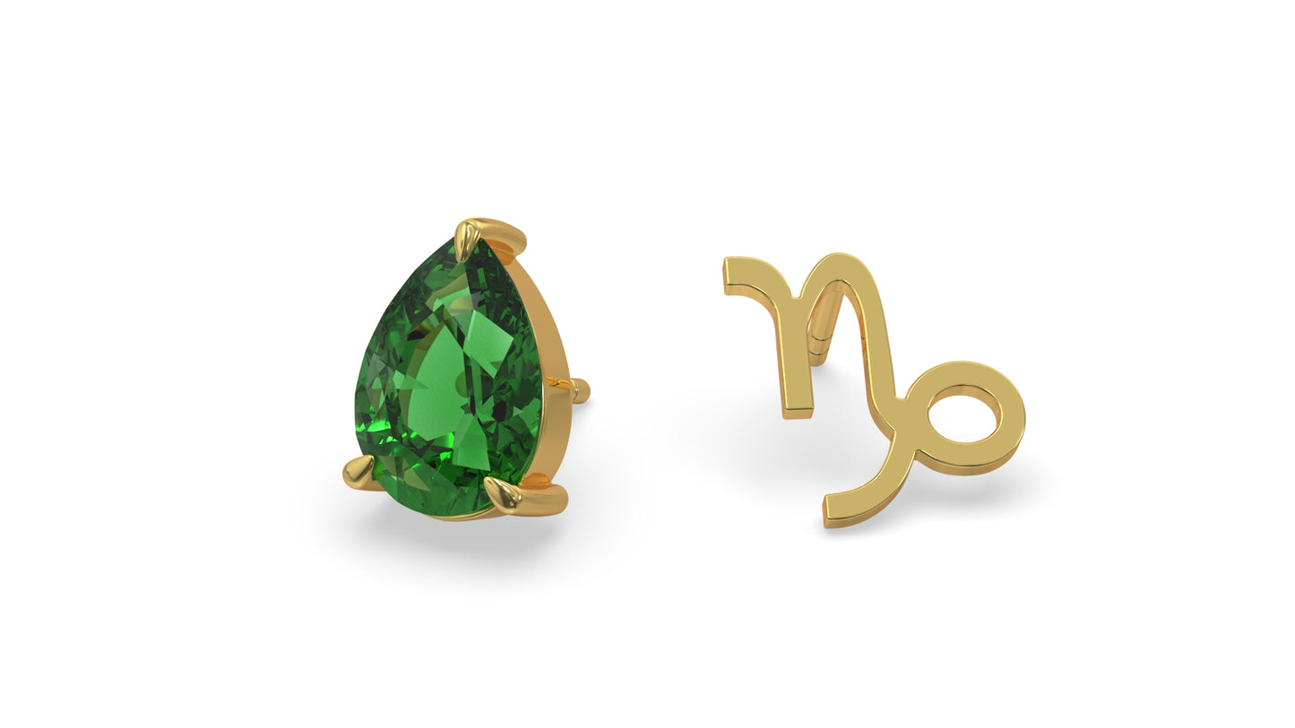 zodiac sign earrings- capricorn- gold