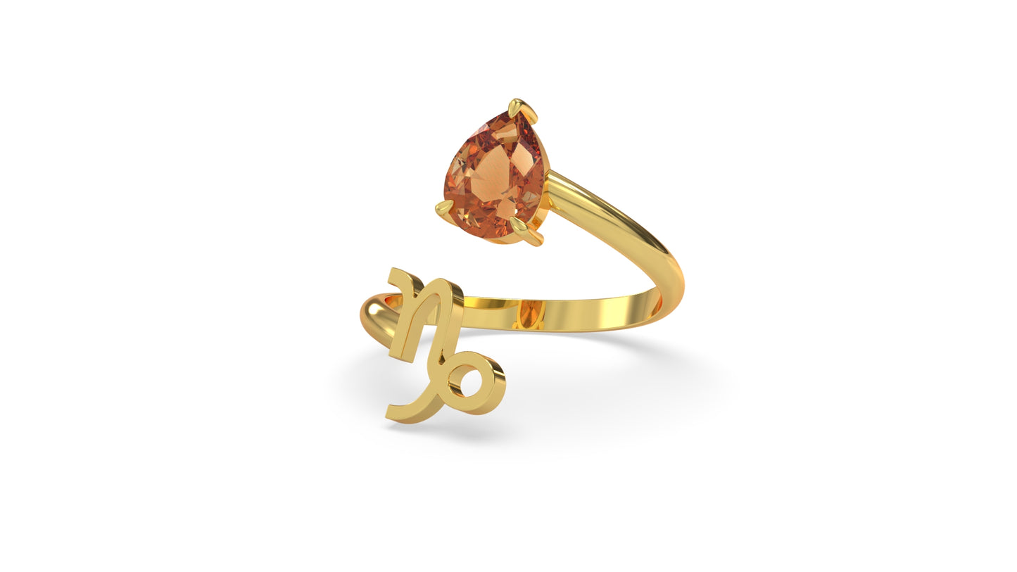 zodiac sign ring- capricorn- gold
