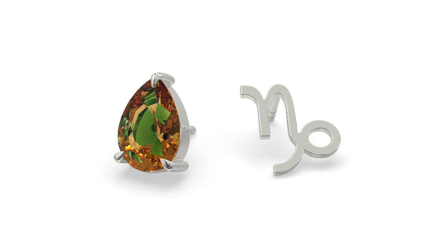 zodiac sign earrings- capricorn- silver