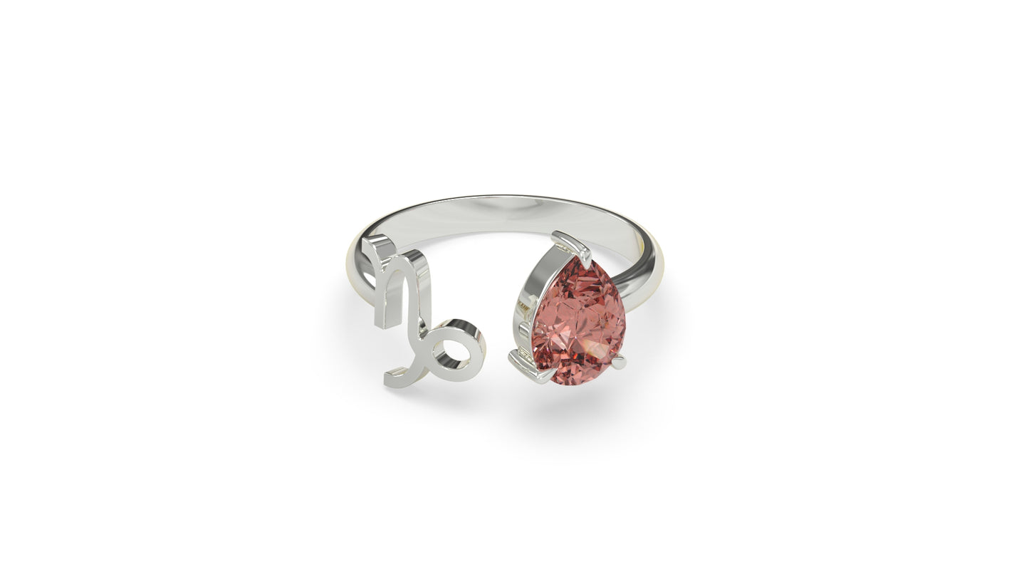 zodiac sign ring- capricorn- silver