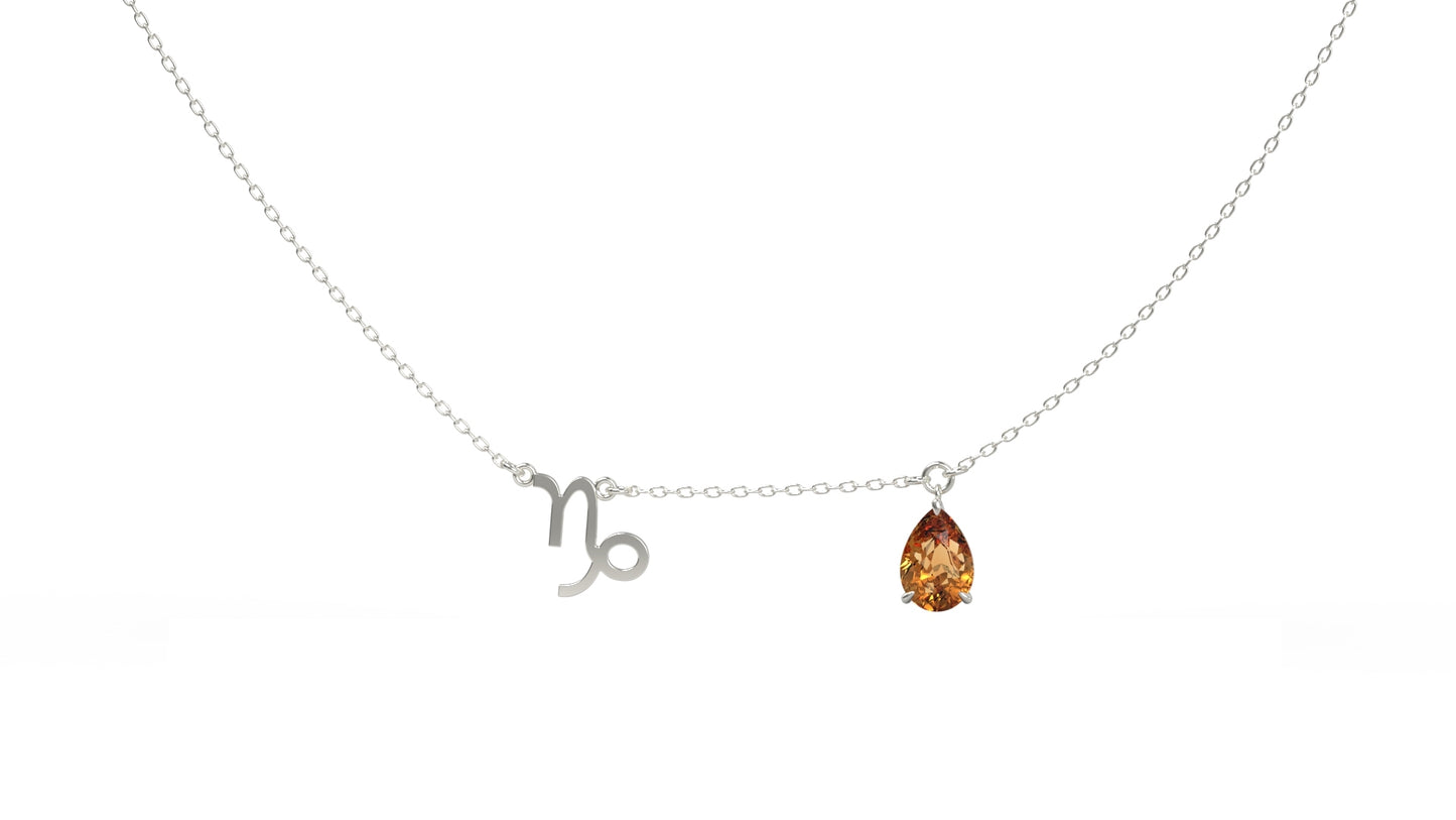 zodiac sign necklace- capricorn- silver
