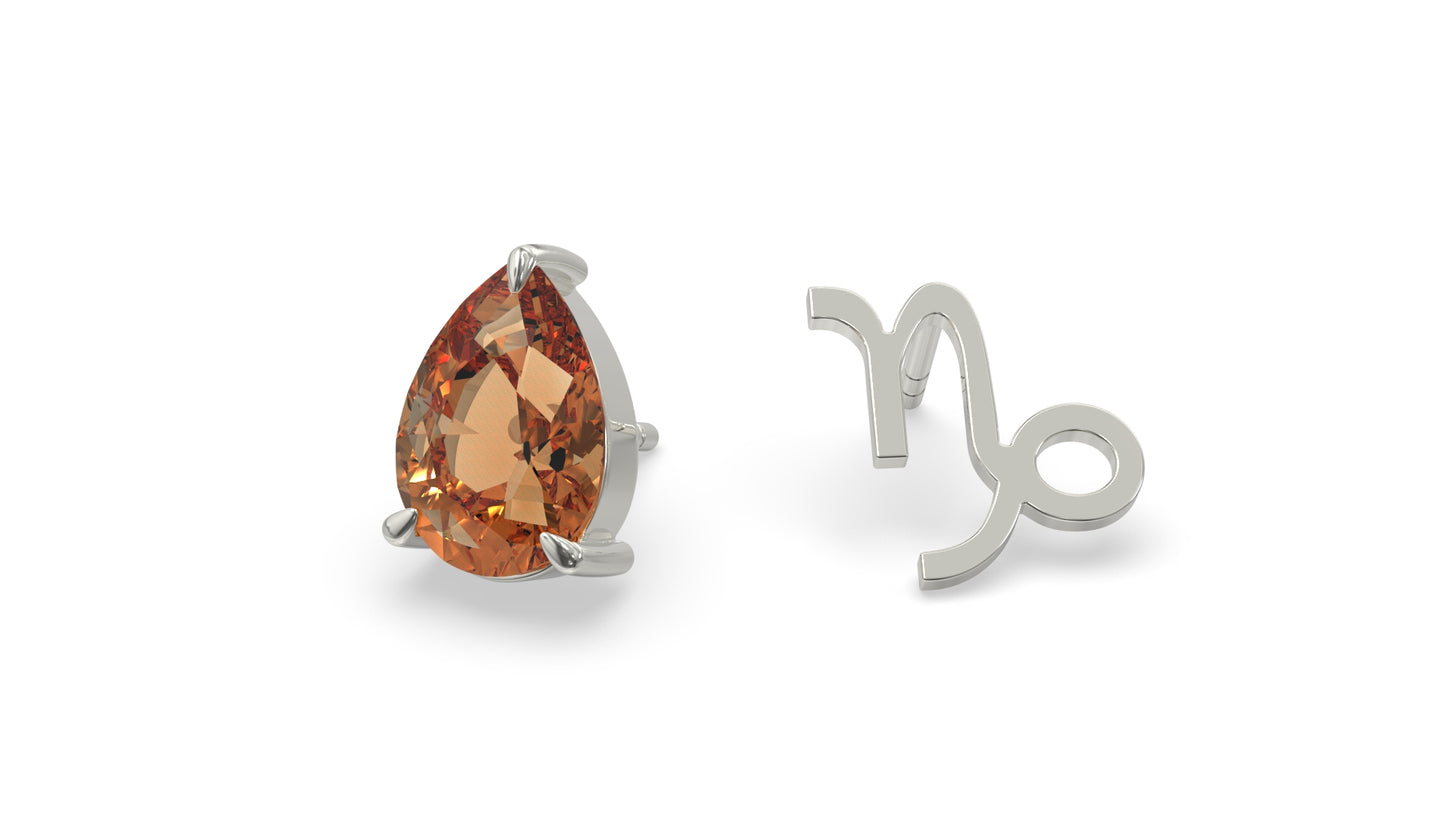 zodiac sign earrings- capricorn- silver