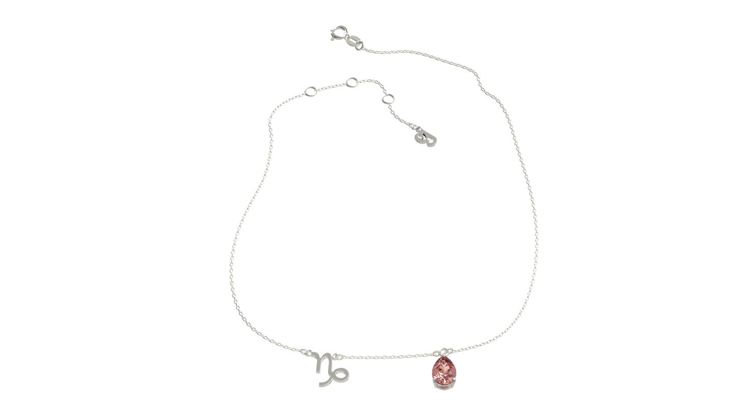 zodiac sign necklace- capricorn- silver