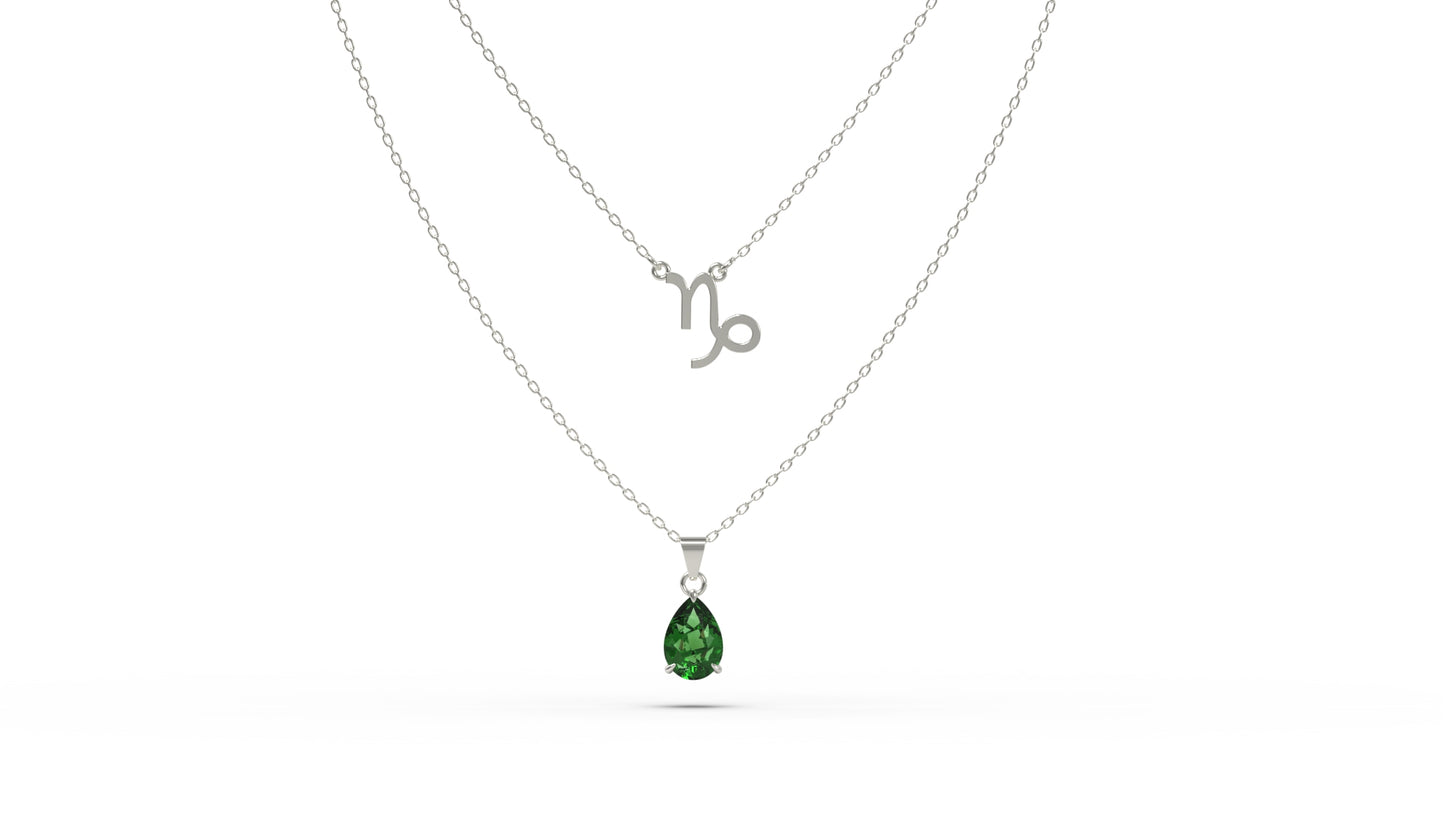 zodiac sign necklace- capricorn- silver
