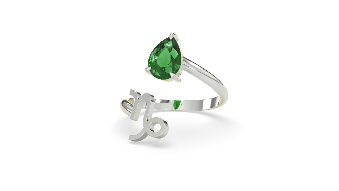 zodiac sign ring- capricorn- silver