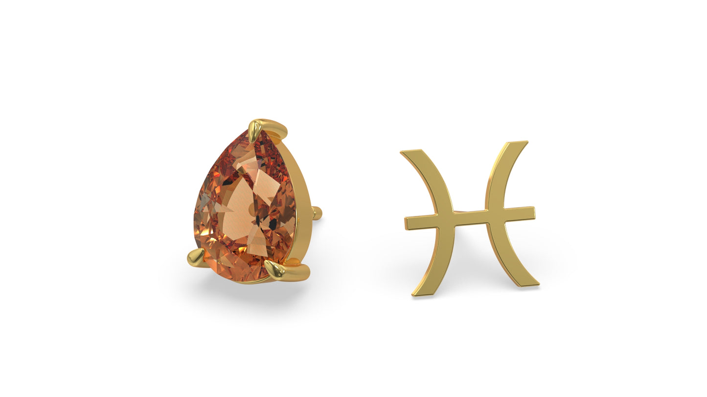 zodiac sign earrings- pisces- gold