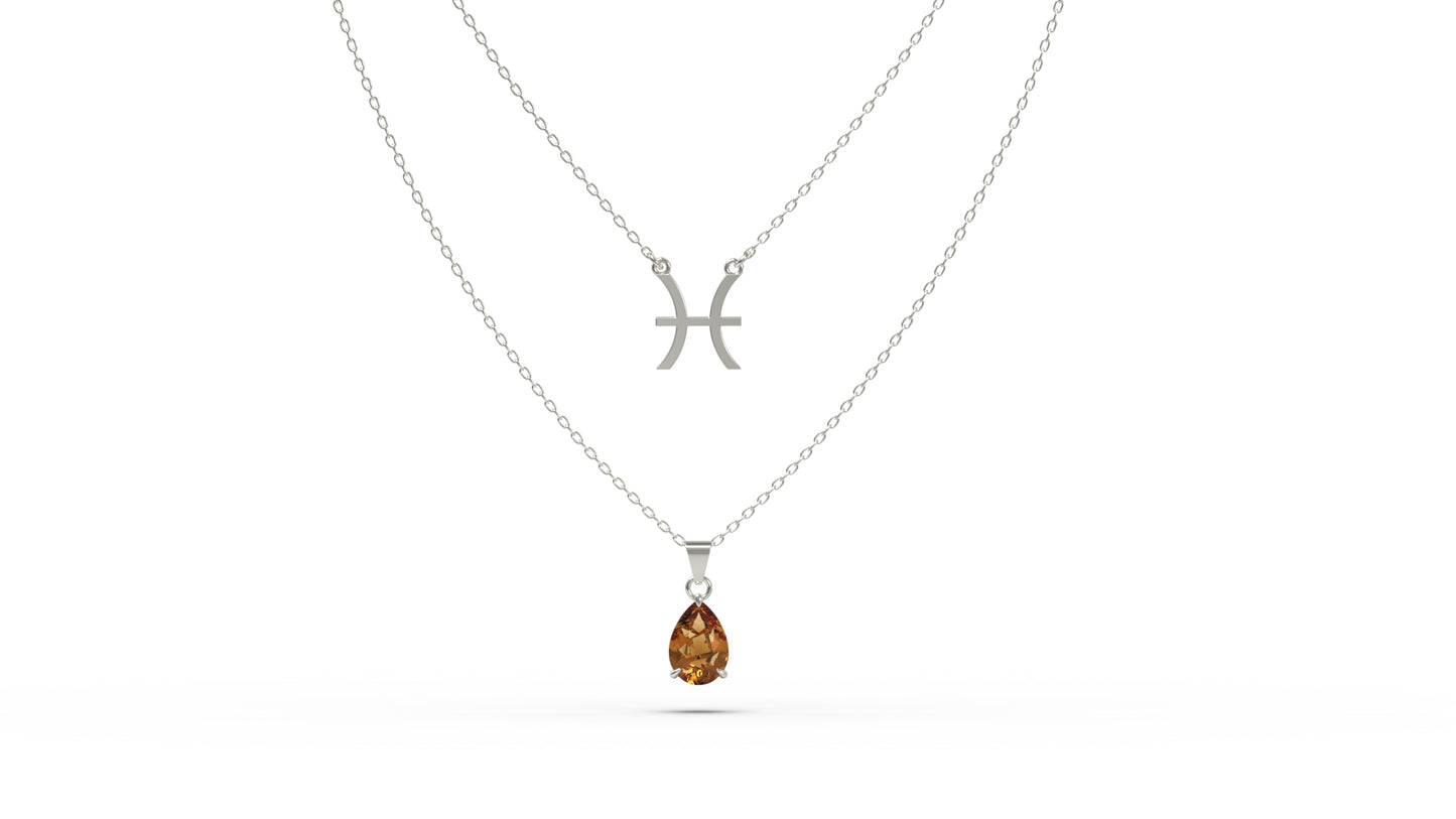 zodiac sign necklace- pisces- silver