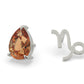 Stargazing Earring- Capricorn