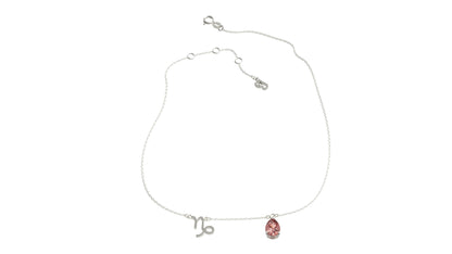zodiac sign necklace- capricorn- silver